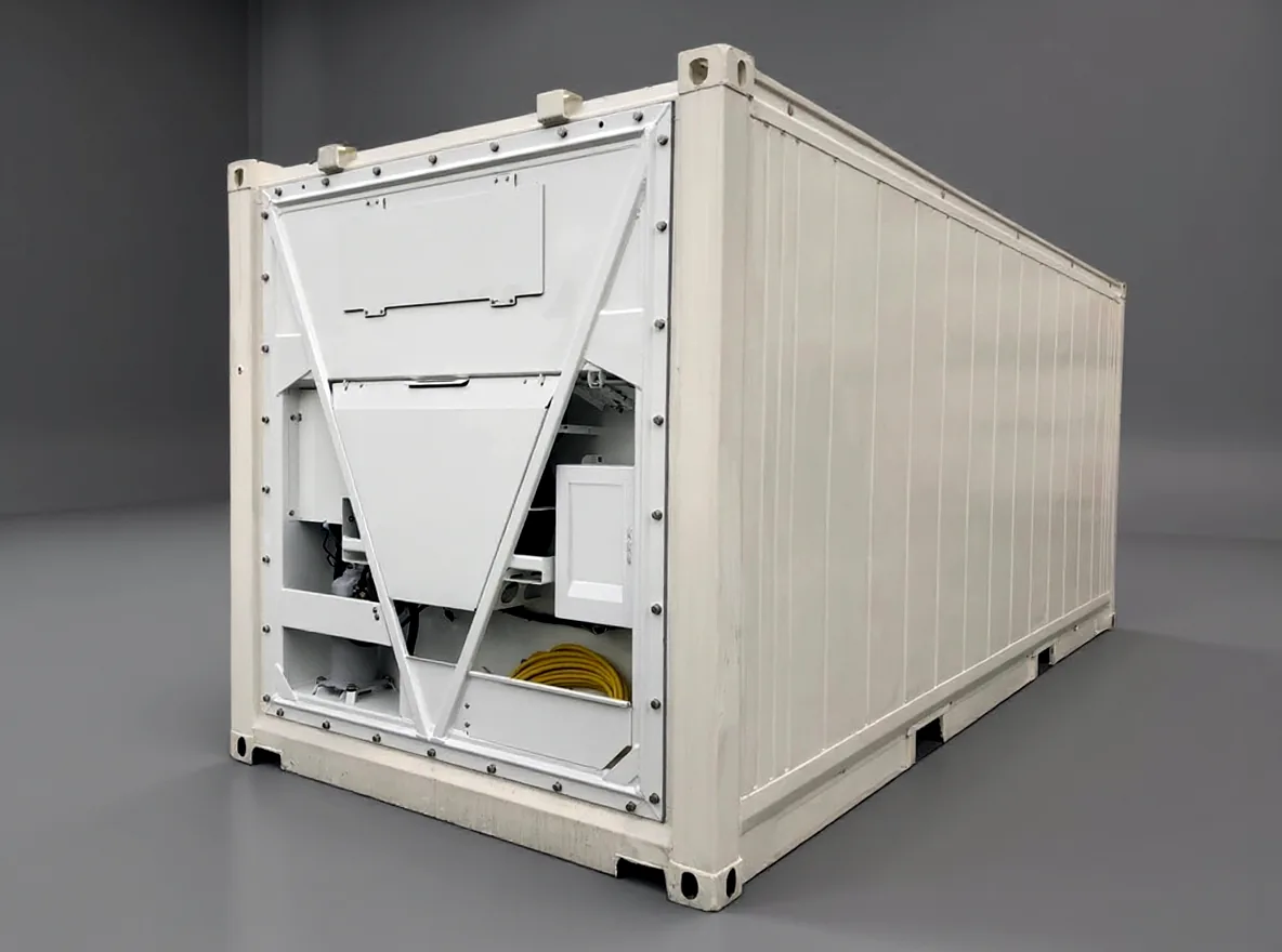 20 fods standard kølecontainer 2